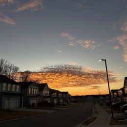 a view of the community at sunset